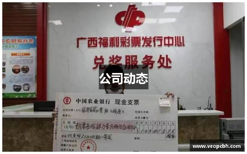 公司动态