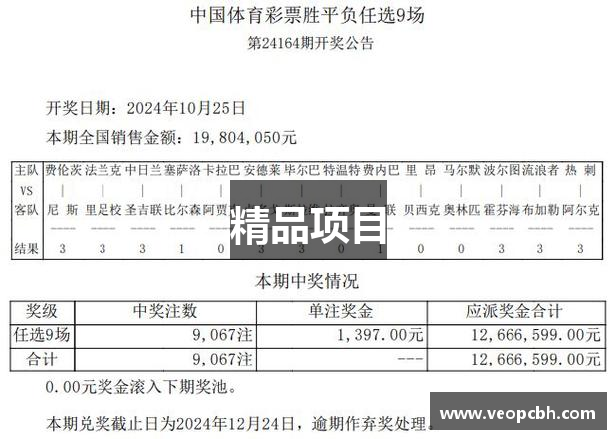 精品项目